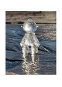 Image of Muju Water Guardian Print