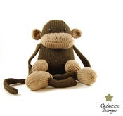 Image of Jerry the Monkey