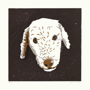Image of MILO (Bedlington Terrier)