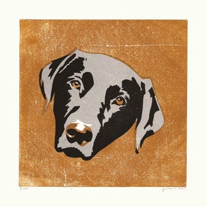 Image of OTIS (Labrador)
