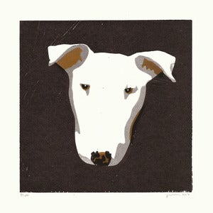 Image of POPPY (Bull Terrier)