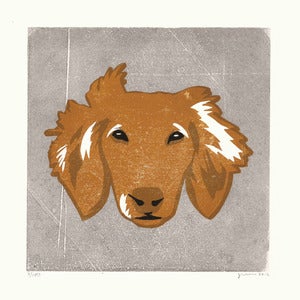 Image of RAFFERTY (Dachshund)