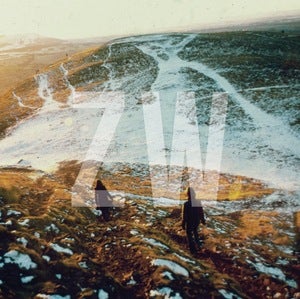 Image of DD008: Zulu Winter - Never Leave // Let's Move Back to Front 7" SOLD OUT
