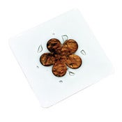 Image of Classic Mocha Flower Coasters 