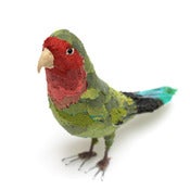 Image of PEACH FACED LOVE BIRD