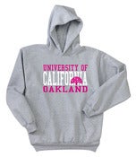 Image of UCO Hoodie (Grey/Pink)