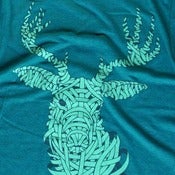 Image of Deer: Evergreen