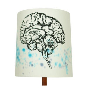 Image of Anatomy Lamp Shade - Brain, Painted
