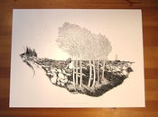 Image of Salty Seas & Birch Trees