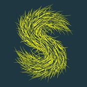 Image of Strings of Consciousness - Our Moon Is Full