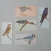 Image of bird card