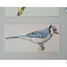 Image of bird card