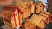 Image of OWS Birdhouse 