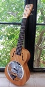 Image of Kala MahoganyTenor Resonator