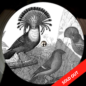 Image of Anna Lunoe & Friends - Real Talk 12"