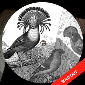 Image of Anna Lunoe & Friends - Real Talk 12"