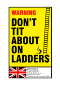 Image of Don't Tit About On Ladders print