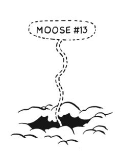 Image of Moose #13
