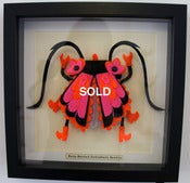 Image of Neon Booted Dotonbori Beetle