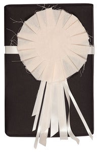 Image of Ribbon instructions