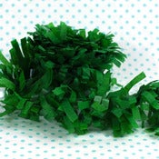 Image of Green Party Fringe