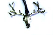 Image of Stag Head