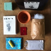 Image of KIT Nº 8 Cactus de tela con maceta