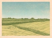 Image of Split Field Reduction Woodcut