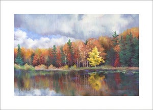 Image of Amber, Whipple Dam State Park, limited edition print