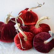Image of Velvet Plush Pumpkin Holiday Reds Large Set 