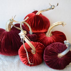 Image of Velvet Plush Pumpkin Holiday Reds Large Set 