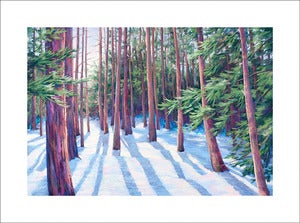 Image of Winter Pines, Prismatic, limited edition print