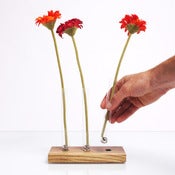 Image of Adaptation-3tube/wood