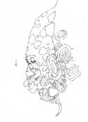 Image of morning sketch (20 November 2012)