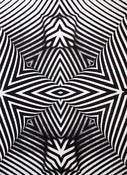 Image of Monochrome 4 - Handpulled silkscreen print
