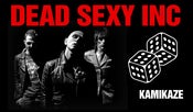 Image of Promo Pack" I love The Dead Sexy Inc" (CD + T Shirt + poster)