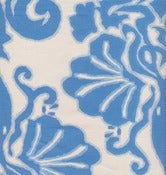 Image of Squidikat/ aqua