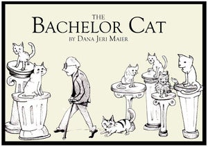 Image of The Bachlor Cat