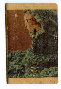Image of 3.5" X 5.5" Blank Journal with image of Andy the Cat in Color.
