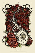 Image of PHISH - ART PRINT