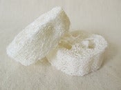 Image of Loofah Slices