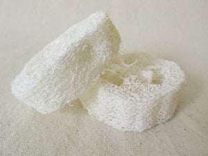 Image of Loofah Slices