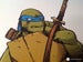 Image of Leonardo