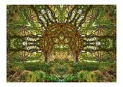 Image of Summer Portal.