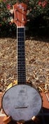 Image of Eddy Finn Maple Banjo Uke Concert