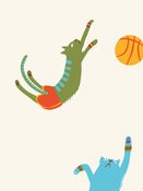 Image of BASCATBALL