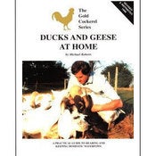 Image of Ducks and Geese at Home by Michael Roberts
