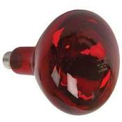 Image of Infra Red Lamp (Ruby red) Bulb 250W