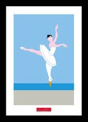 Image of The Swan of My Dreams