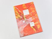 Image of Gerhard Richter: Lines which do not exist - Gerhard Richter